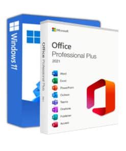 Office pro plus 21 met windows 11